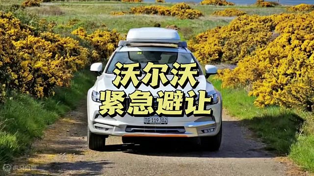 沃尔沃的紧急自动避让到底有多牛，看完你就明白了！#沃尔沃 #自动避让 