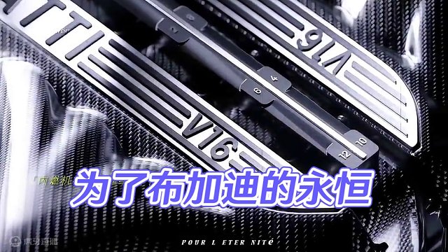 “为了内燃机的永恒” #v16 #布加迪