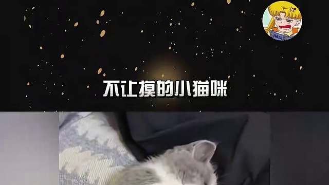 叫破喉咙也不会有猫猫来救你哒！