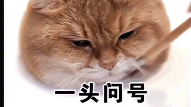 下载：红果短剧→授→彤彤眼泪→全集免废看