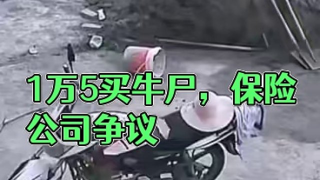 1万5是赔偿，不是买