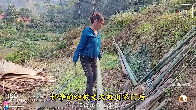 怀孕女人被丈夫赶出家门，独自一人在野外生存#准妈妈 #野外生存 #荒野求生