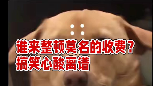 谁来整顿一下这些莫名其妙的收费#搞笑 #心酸 #离谱