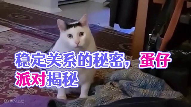 蛋仔派对：比蛋搭子更稳定的关系？来见识一下三角搭子！ #蛋仔派对 #蛋仔陪你过龙年 #蛋仔派对玩具历