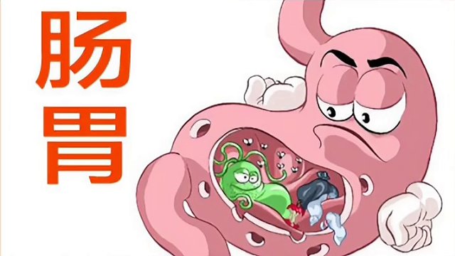 肠胃原因
