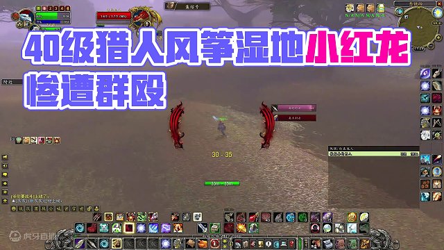 40级猎人风筝湿地小红龙 提布我来了 #魔兽世界 #魔兽世界怀旧服 #我比你们多一个世界