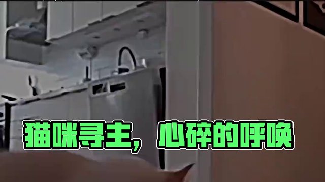 呜呜，快把它送到我家！我陪它！！！