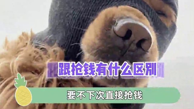 你是来抢钱的吧！#娱乐评论大赏 #万万没想到 #消费 #消费者