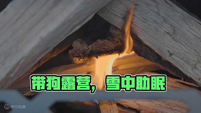 带狗露营：雪地篇（贰）
 #露营 #萌宠 #助眠 #雪中露营 #上热门