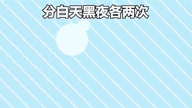 这些你们每日都做了吗？ #精灵宝可梦 #战斗吧精灵 #手游 #日常