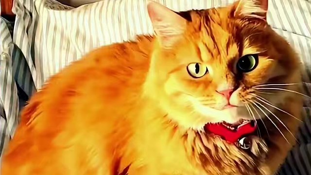 未来就像大佬说的“算力”就是一种重要资源#算力 #人工智能 #ai #算力无止境步步攀新高