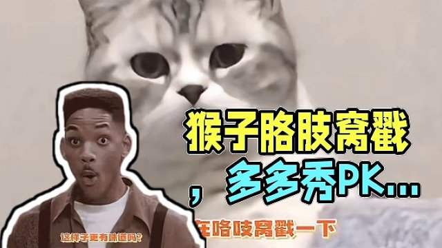 猴子：炫！！！