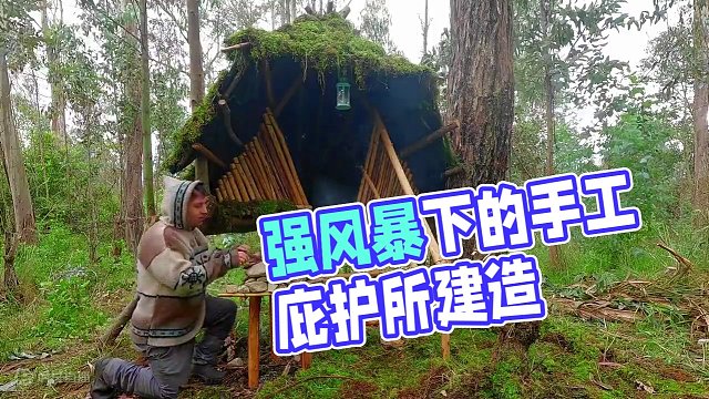 【无限露营】在强风暴下的森林里手工建造生存庇护所 #露营 #雨中露营 #庇护所建造 #助眠 #解压