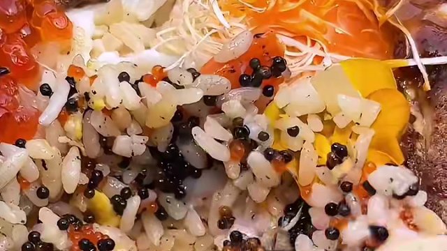 带腾讯和阿里的IT美女吃饭是什么样的体验#爱就是一起吃好多好多顿饭 #我的探店日记