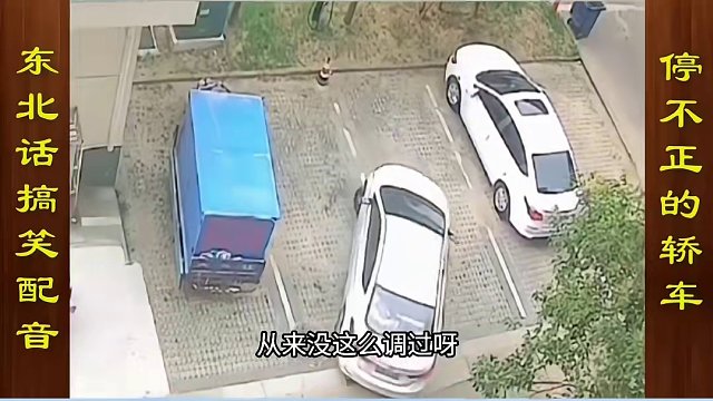 东北话搞笑配音，永远停不正的轿车 #搞笑配音