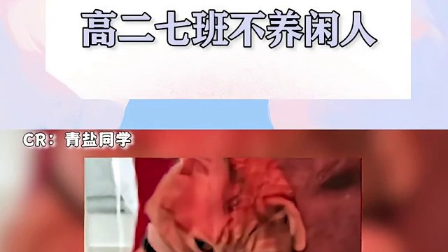 佛罗里达不养闲人，高二七班不输洋人！#高二七班#中国人有自己的佛罗里达