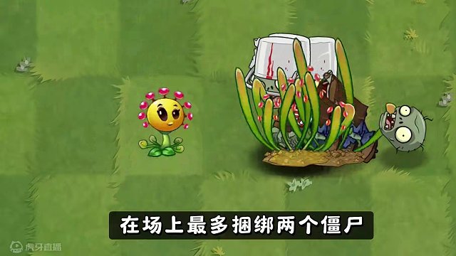 茅膏菜：看似柔弱的外表下，却拥有强大的生存能力！ #植物大战僵尸2 #植物大战僵尸