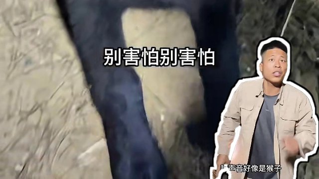 野外生存第十七集｜在后山取淡水时发现罕见的灵芝蟹和天门冬#户外 #野外生存 #户外生活 #流浪海岛 