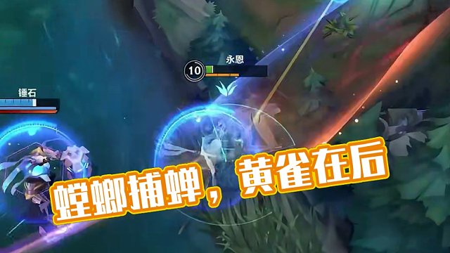 螳螂捕蝉，黄雀在后