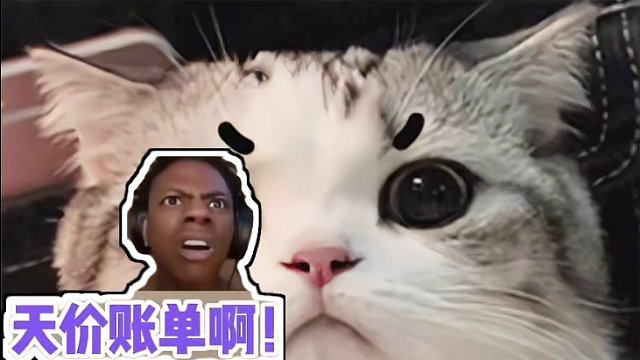 出门在外也要擦亮眼睛哦！！#娱乐评论大赏 #有梗老妹儿菠萝头 #万万没想到