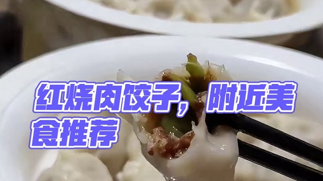 红烧肉饺子get✅
#附近美食 #美食探店 #同城美食