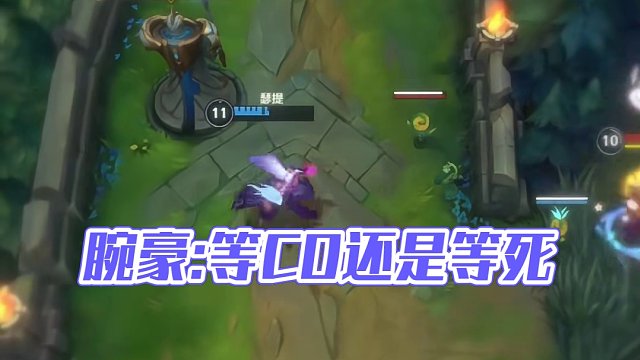 腕豪:我在等CD，你在等什么？等死吗？
