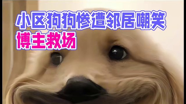 以后在小区只能低调做狗#娱乐评论大赏 #搞笑 #宠物 #狗狗 #精神状态良好