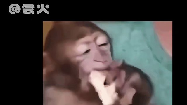 一个视频让人笑了800次的两个#聪明 #开朗 #活泼  的小女孩