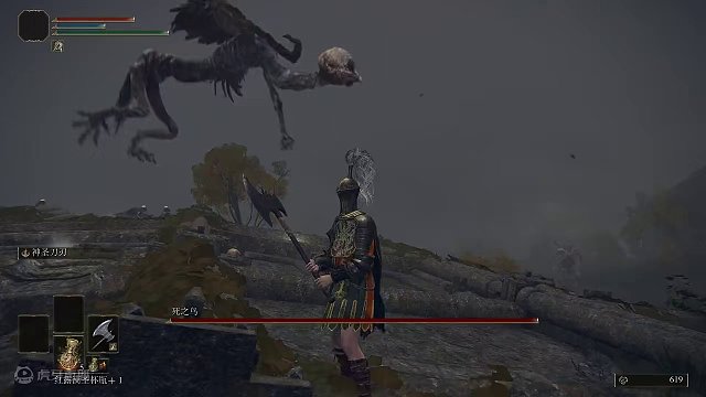 神秘的仪式之鸟只为奉献死亡，风暴中的魅影让人害怕 #艾尔登法环