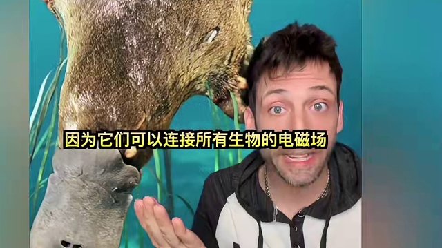 鸭嘴兽生蛋又产乳 可以用自己的奶和蛋做蛋挞（）