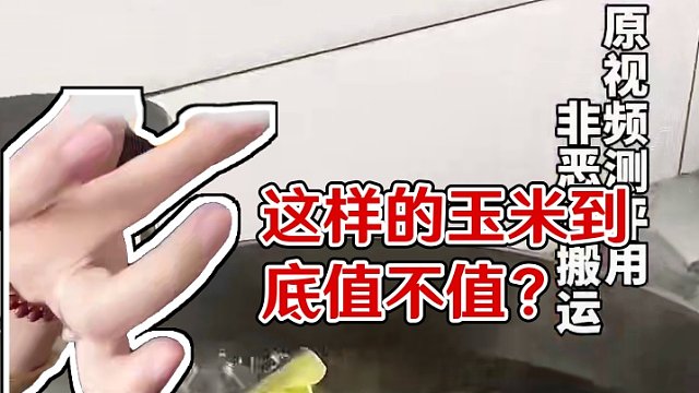 这样的玉米怎么样呢？#美食测评 #美食 #测评 #试吃 #玉米