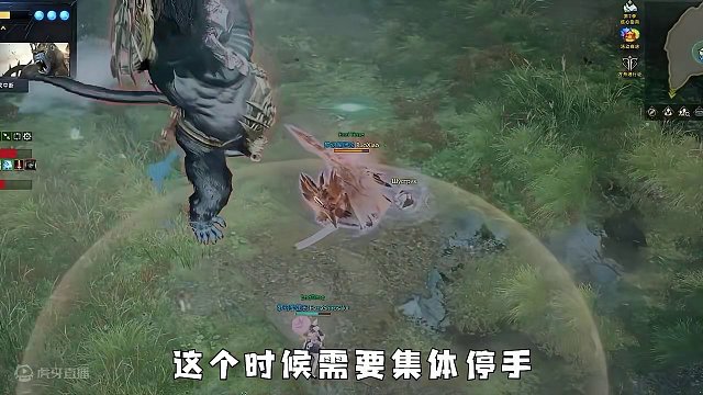 【命运方舟】3分钟掌握猩猩所有技巧（哈奴马坦） #命运方舟 #猩猩 #哈奴马坦