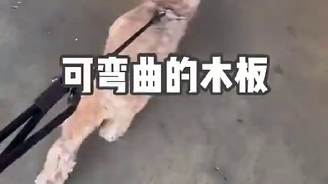 自改房车｜如果能天天吃上这顿晚餐 让我再辛苦点也愿意#房车改造 #情侣日常 #改造日记