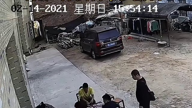 大黄追着老鼠跑