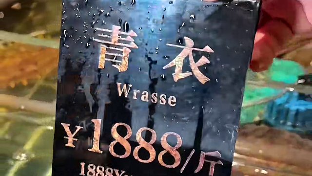 我发布了一个新视频，快来围观吧！