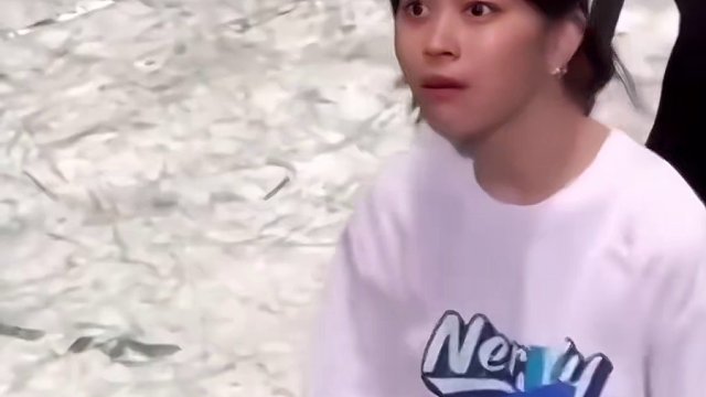 就问！难道它们不帅不可爱嘛！！！