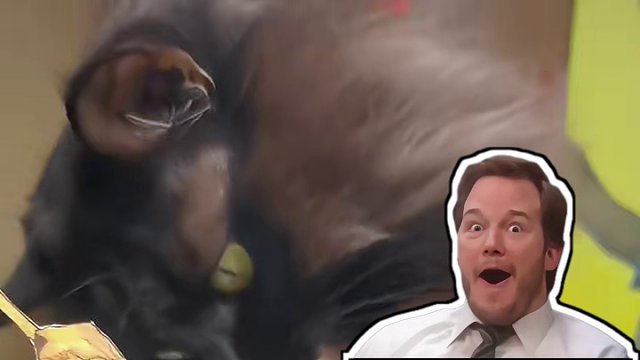 记录100次惊喜时刻，以画换物，这是能到处溜达的烤串羊肉串