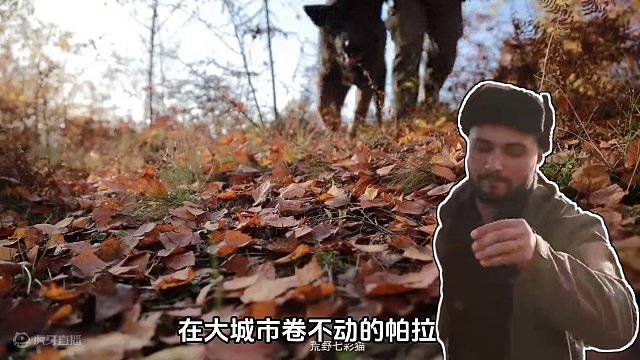 徒手打造石头屋，荒野建造长视频完整版 #荒野建造 #解压#户外  #野外生存