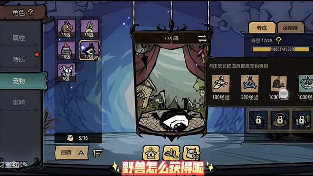 饥荒手游最强跑图神宠！小小鸟全解（宠物1-3）#饥困荒野  #饥荒   #手游