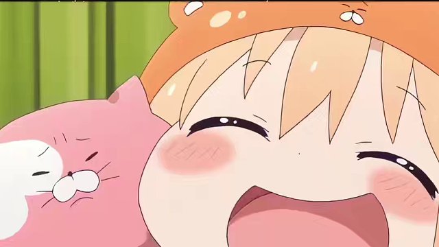 一时分不清是在分享还是炫耀，怎么会有这么粘人的猫咪啊