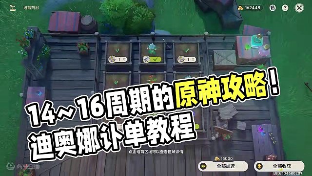 【Day2】14~16周期 #原神 #原神攻略 #原神枫丹  #升炼研巧万策金