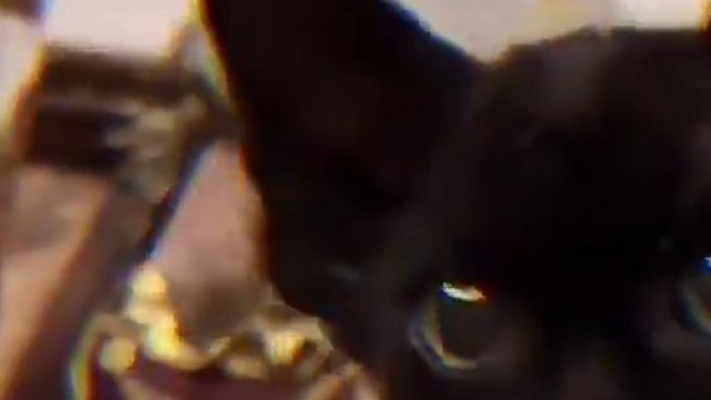 宝宝呀，快来让姨姨嗷呜一口～