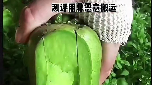 这样的水果萝卜怎么样呢？#美食测评 #测评 #试吃 #美食 #萝卜