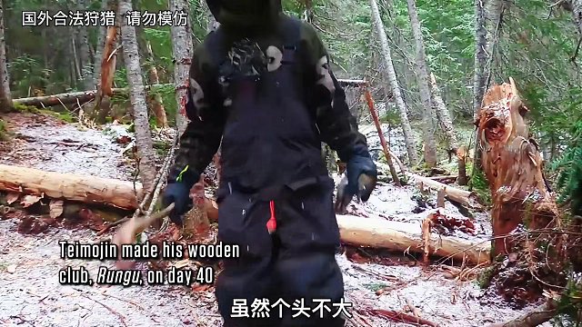 荒野独居第九季太惨了，选手吃苔藓啃树皮，华裔小哥却留了一手 #野外生存  #纪录片