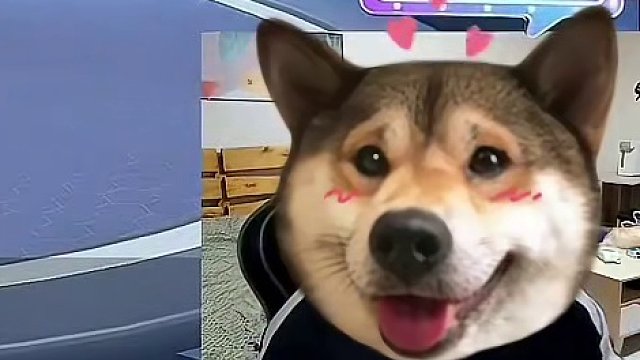 我发布了一个新视频，快来围观吧！