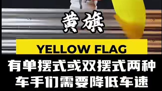 每场比赛赛道边上的马修们挥舞的旗帜你都认识吗？#f1 #方程式赛车 #科普 #赛道 #比赛现场