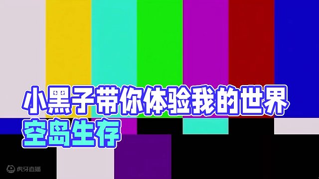 小黑子!!! #我的世界 #我的世界空岛生存