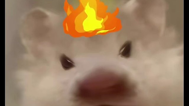 够了！害得我莫名其妙的笑了十分钟！#万万没想到  #搞笑  #娱乐评论大赏