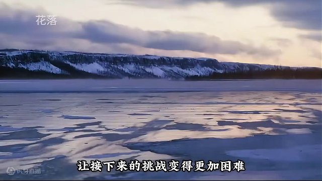 十名求生钻甲只剩4人#野外生活纪录片 #荒野求生 #户外