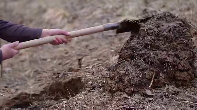 在冰天雪地的世界建造在高空的庇护所，做到真正远离野兽的袭击 #荒野建造 #野外建造 #庇护所